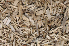 biomass boilers Hosta