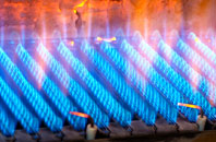 Hosta gas fired boilers